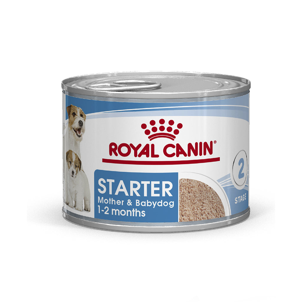 Royal Canin Alimento Húmedo Starter Mother & Babydog Para Perro en Lactancia y Cachorro 24 Latas De 145 g