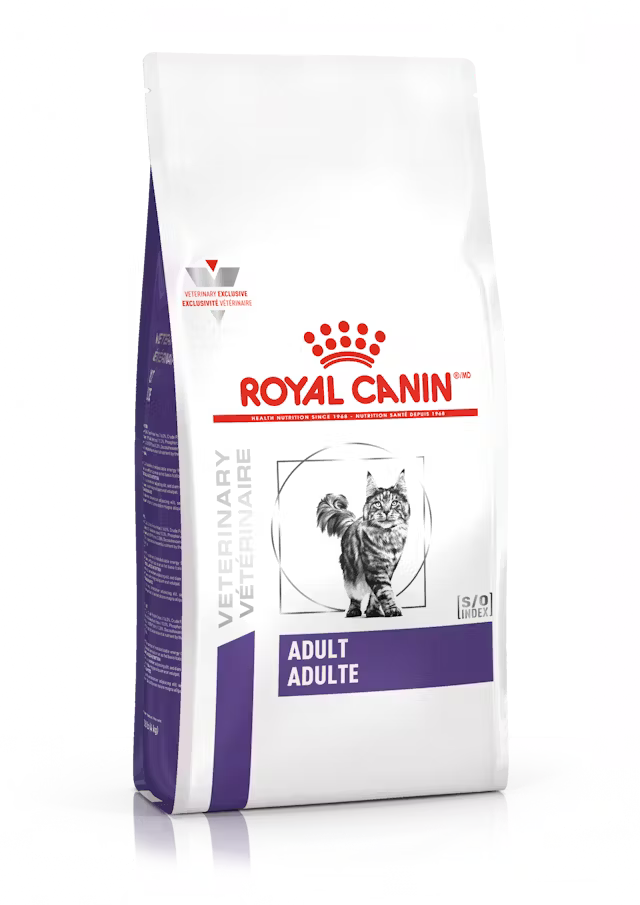 Royal Canin Adult Feline 10 Kg | Alimento Seco para Gatos Adultos